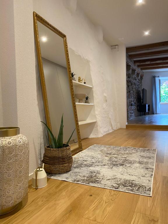 einen Spiegel und einen Teppich im Wohnzimmer in der Unterkunft Charmante Altstadtwohnung 3 OG in Solothurn
