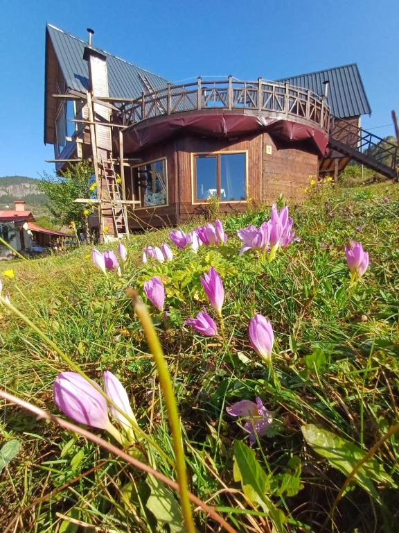 Zahrada ubytování Süllü Dağ Evi