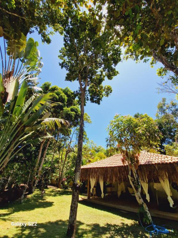 a resort with a thatched roof and palm trees at Mini Casa com Jacuzzi e Piscina in Trancoso