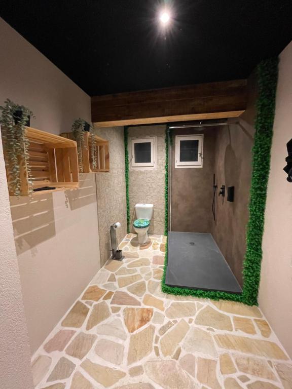 a bathroom with a shower with a toilet in it at L'appar-T loft avec Spa privatif et jardin in Gières