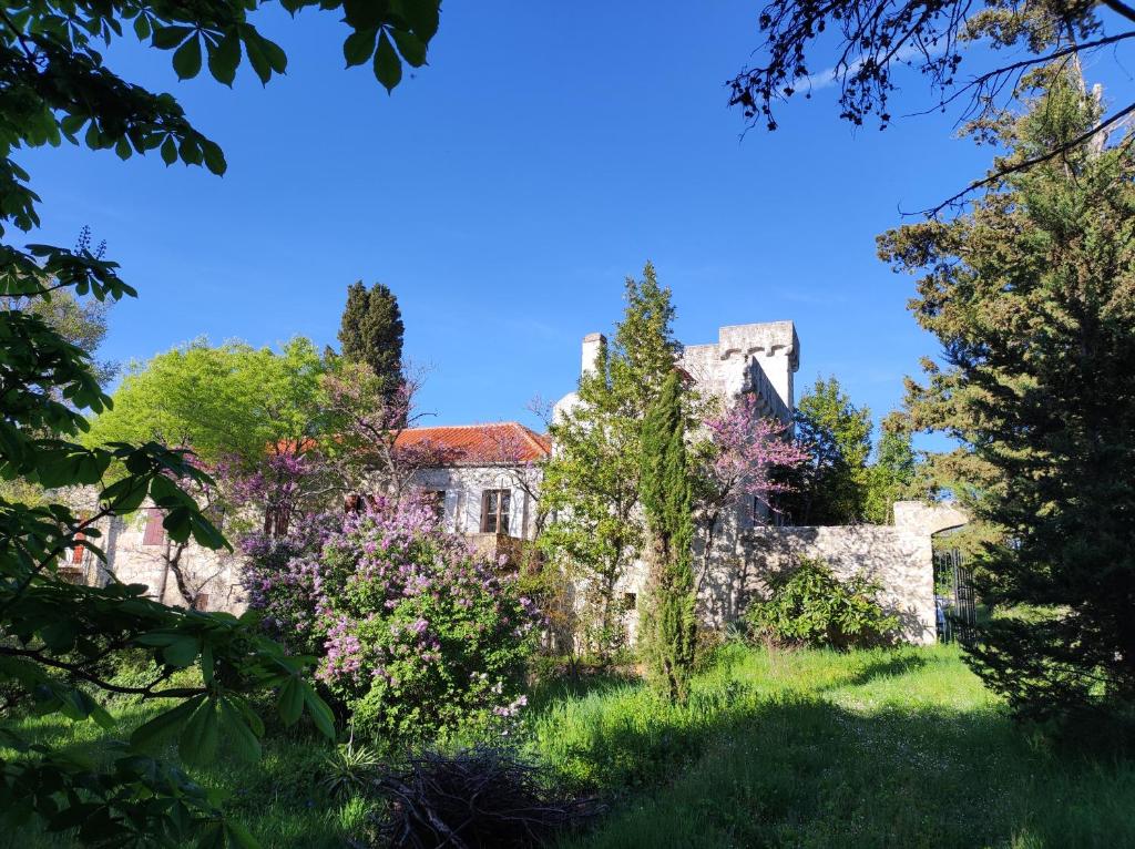 Vonkajšia záhrada v ubytovaní Jankovich Castle