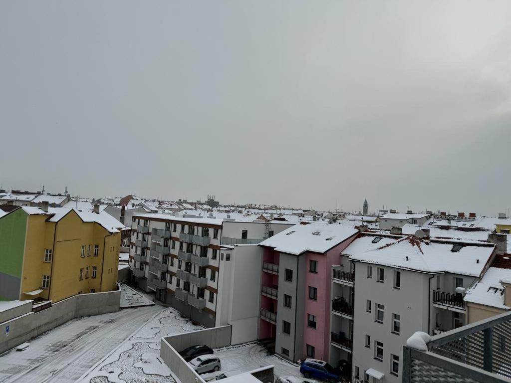 Sky Apartments 501 v zimě