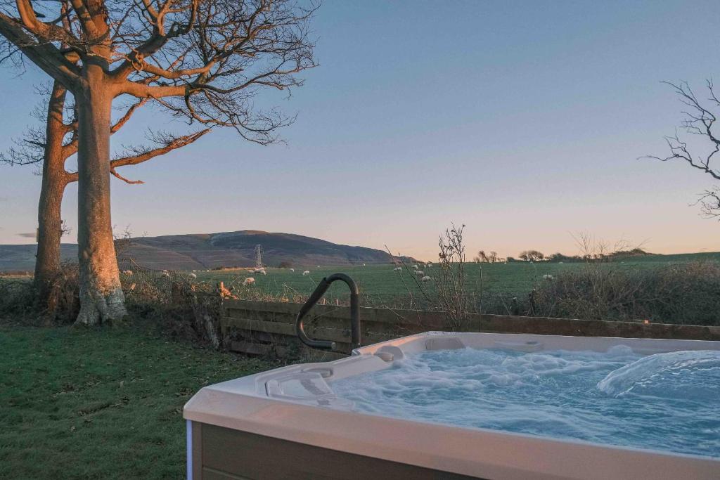 a bath tub with a view of a tree at Hycemoorside House in Millom