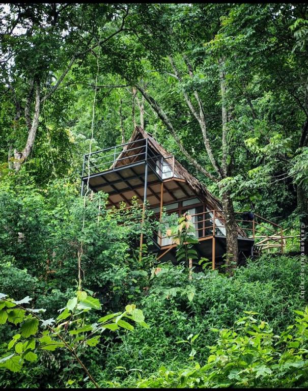 a tree house in the middle of a forest at Sunset Valley Kerala Pool Resort - Monsoon Forest Cottage Stay in Idukki with Private Waterfalls, Natural Streams & Breathtaking Views in Pīrmed