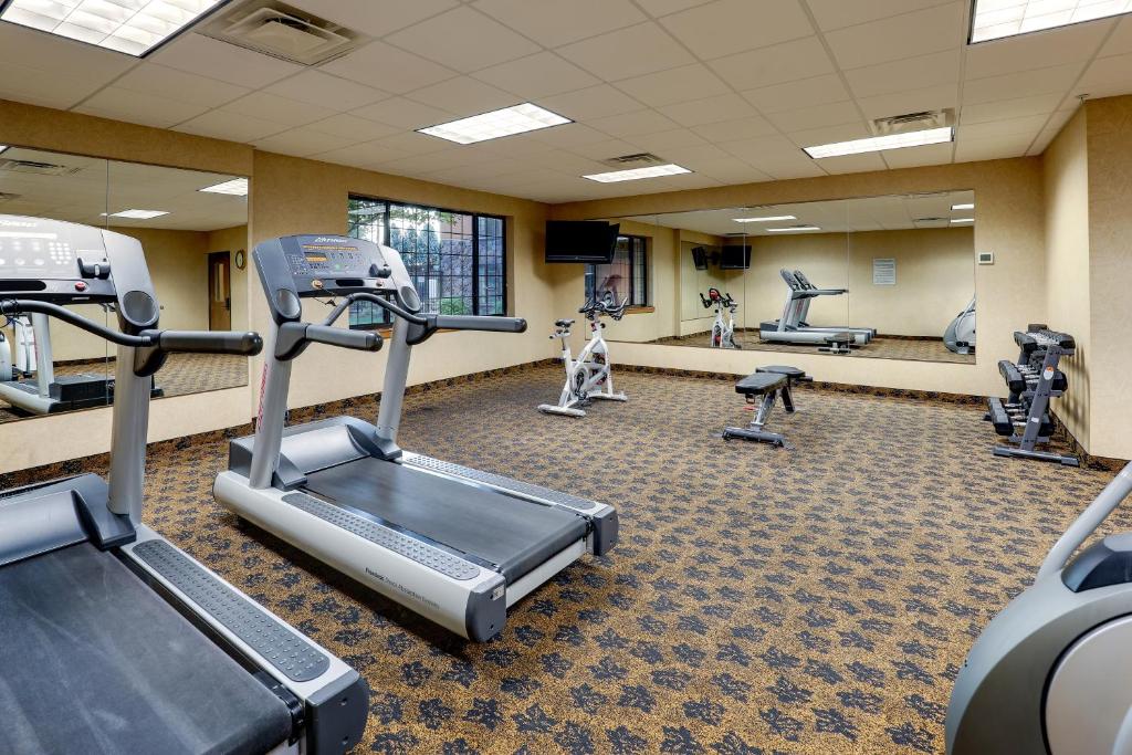 Fitness centrum a/nebo fitness zařízení v ubytování Stoney Creek Hotel Moline