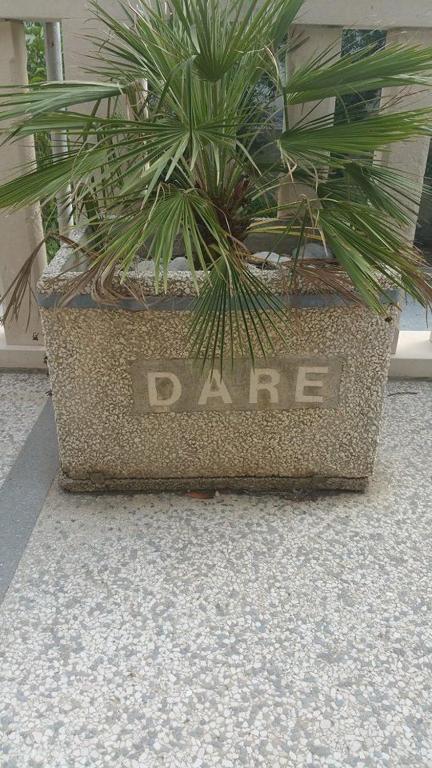 Fotografie z fotogalerie ubytování Apartment Dare v destinaci Lokva Rogoznica