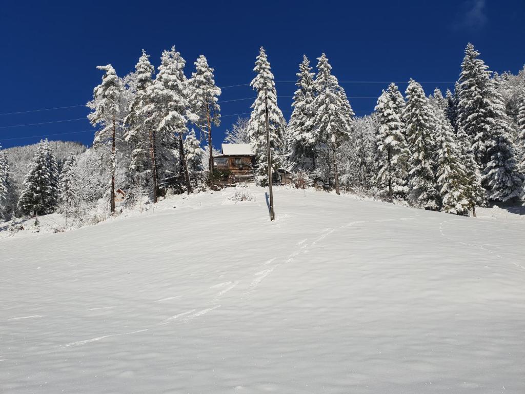 Alpenloft Theresia during the winter