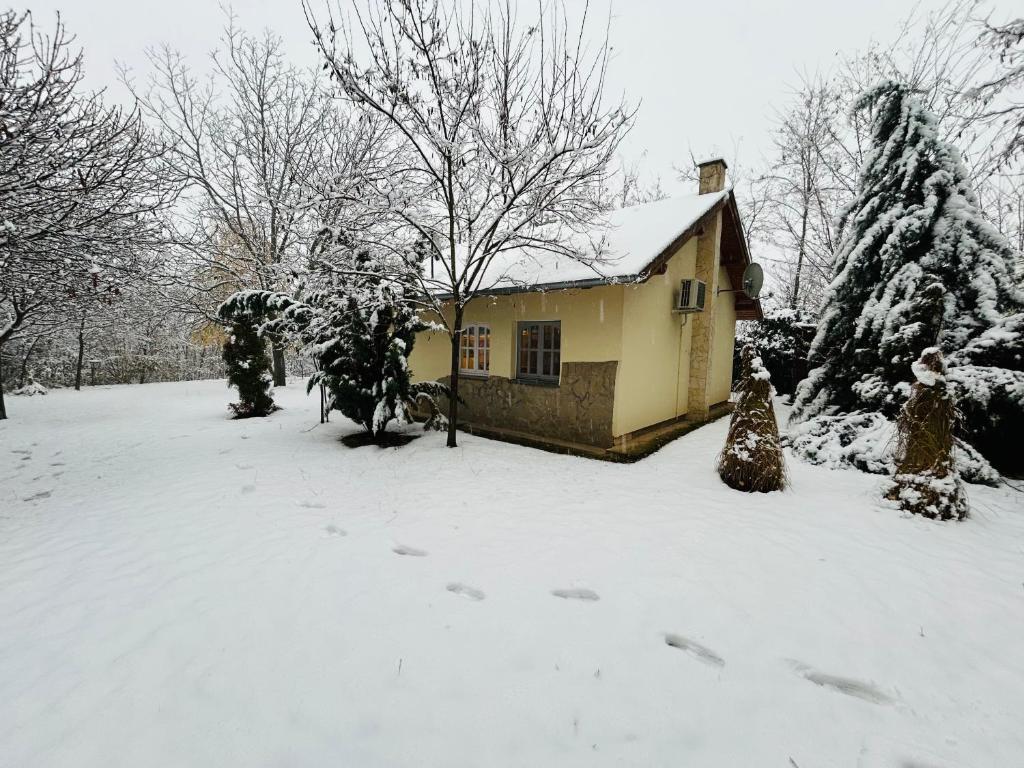 Hide Cottage 8611 Siófok, 11 Töreki utca kép - 1