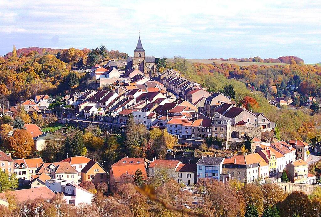 une ville avec des maisons et une église sur une colline dans l'établissement Se relaxer dans la vallée, à Hombourg-Haut
