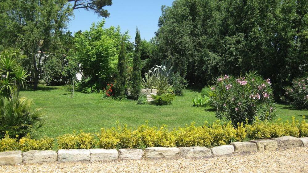 Zahrada ubytování Chambre SEVILLE - Mas Saint-Louis - Piscine chauffée
