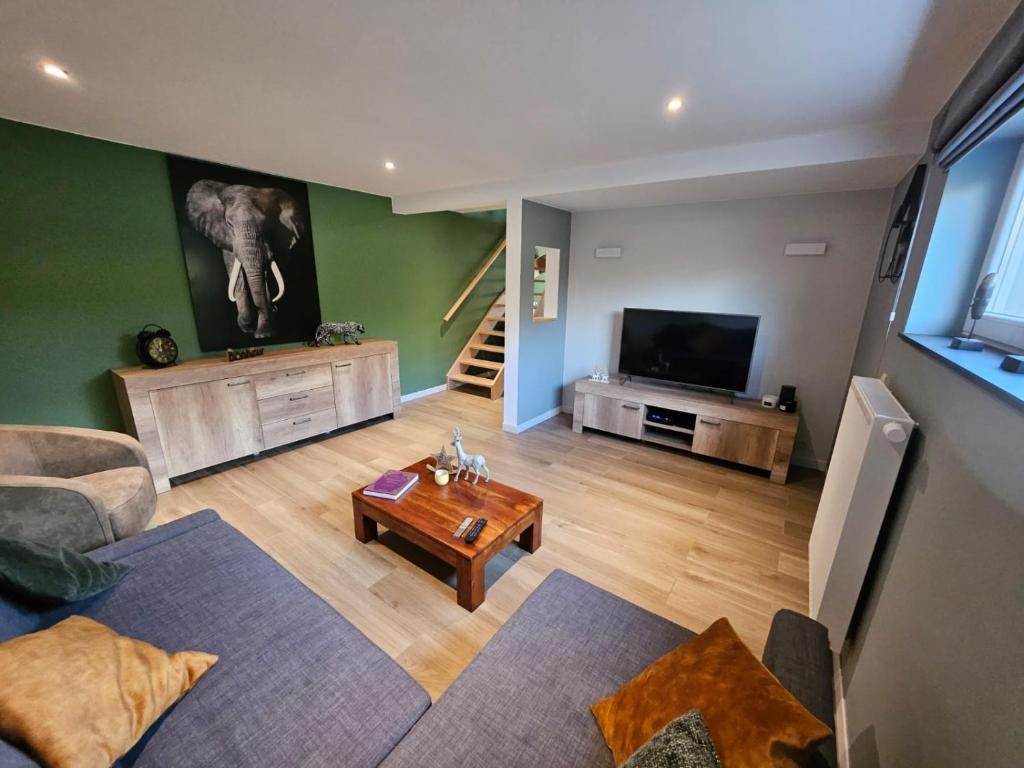 een woonkamer met een bank en een televisie bij Les Secrets du Bois in Vielsalm