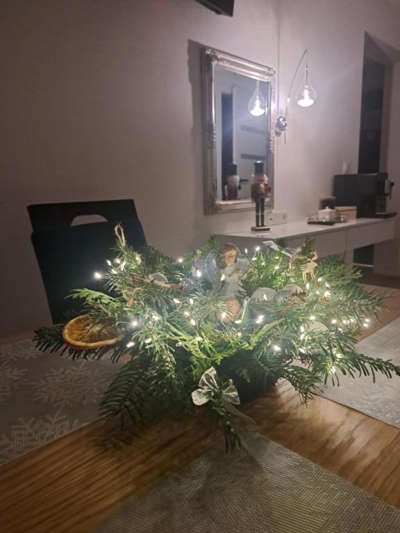 SOLEK, Apartamenty hotelowe i pokoje gościnne ze śniadaniem, przyjazne zwierzętom, wyjątkowe, z widokiem na Jezioro Jamno i w bardzo bliskiej odległości od morza - 9