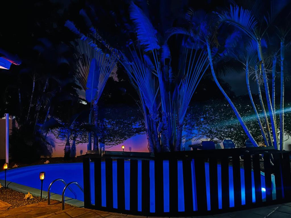Dominican Oasis – Photos 1