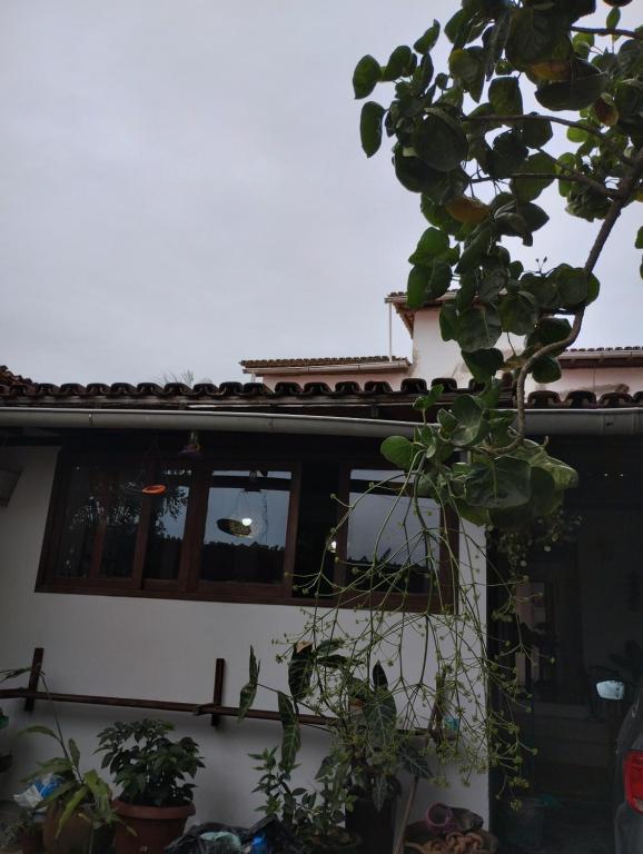 una casa con un montón de plantas delante de ella en Casa da Vovó, en Trancoso