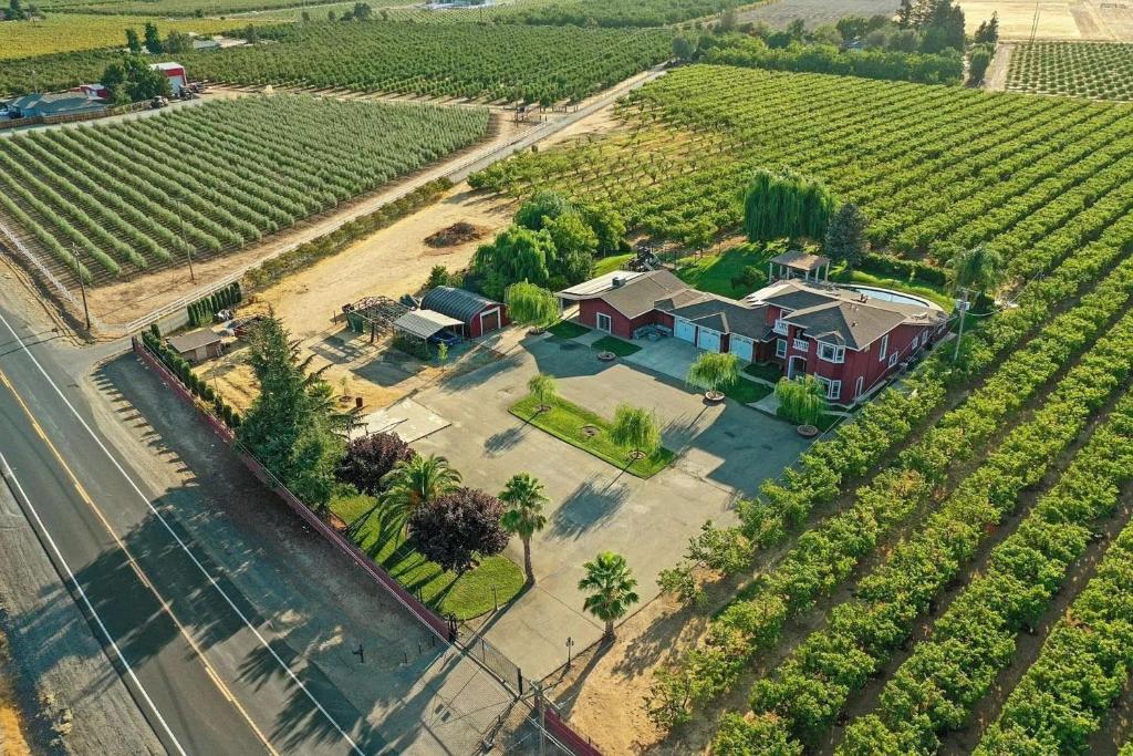 una vista aérea de una casa en un viñedo en Surendra Lodi Farmhouse, en Lodi