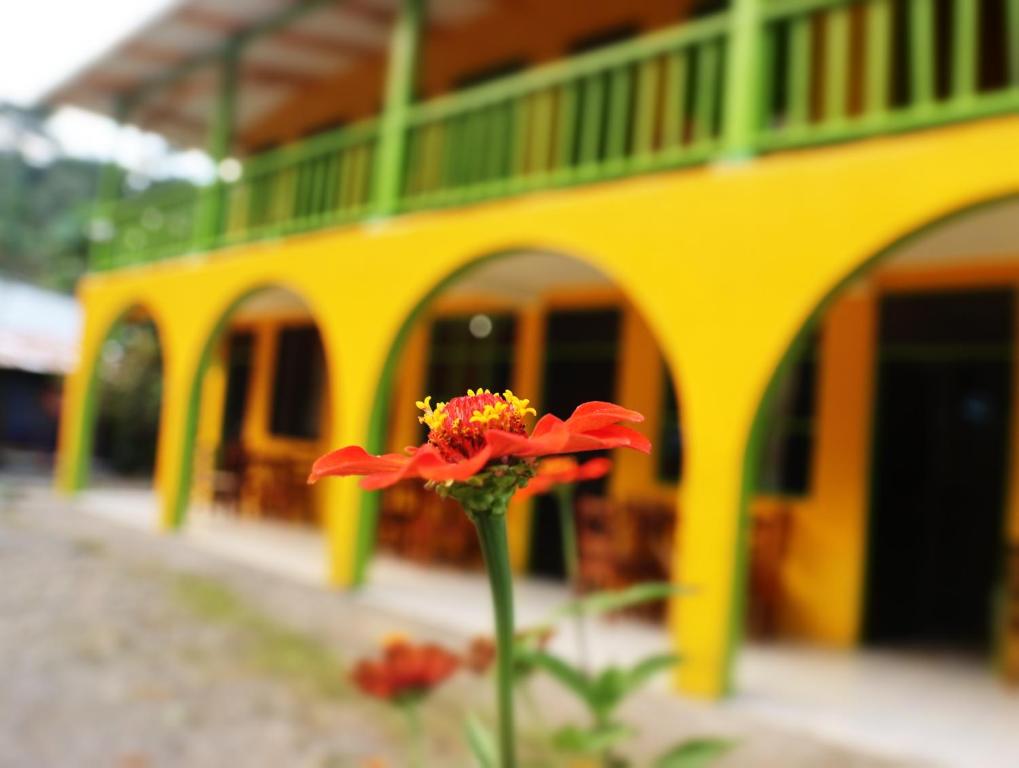 a red flower in front of a yellow building at Cool & Calm Hotel in Manzanillo