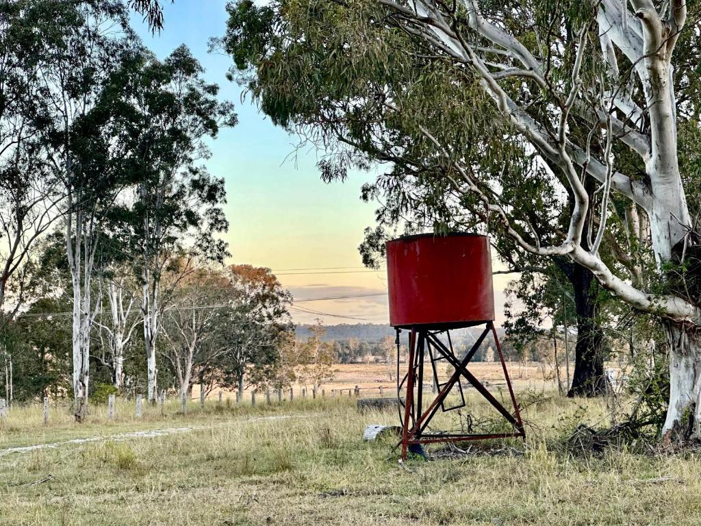 a red barrel sitting in a field next to a tree at Farmstay -LJHooker Yamba in Maclean