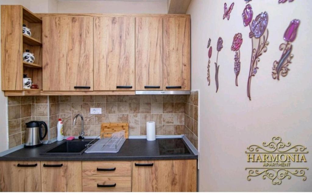 a kitchen with wooden cabinets and a counter top at Dunja lux in Zlatibor