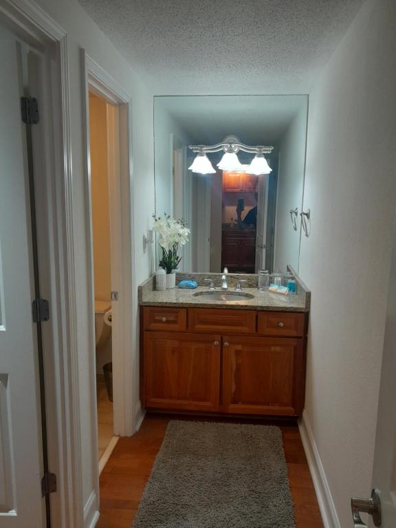 uma casa de banho com um lavatório e um espelho em Luxury Fully Furnished Studio Condo em Atlanta
