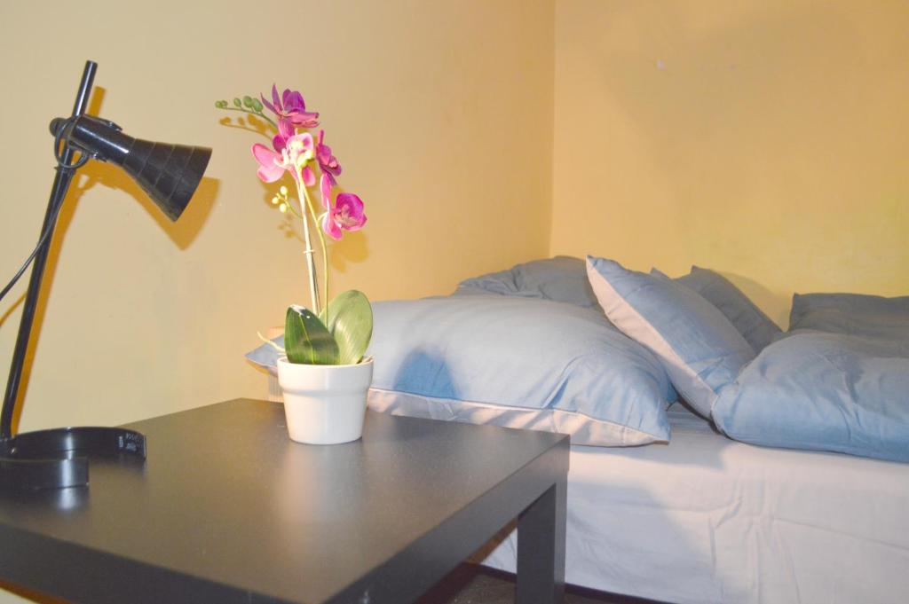 a table with a potted plant on it next to a bed at Riverside Danube Guest House in Budapest
