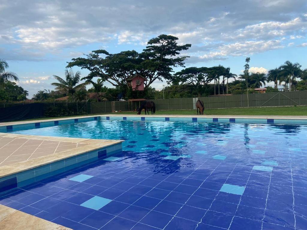 una gran piscina con azulejos azules. en Luxury Villa Cerca Cali - Jamundi, en Jamundí