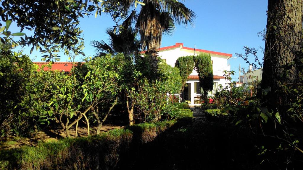 une maison blanche avec un palmier et des buissons dans l'établissement B&B L'Oasi dei Sogni, à Leporano