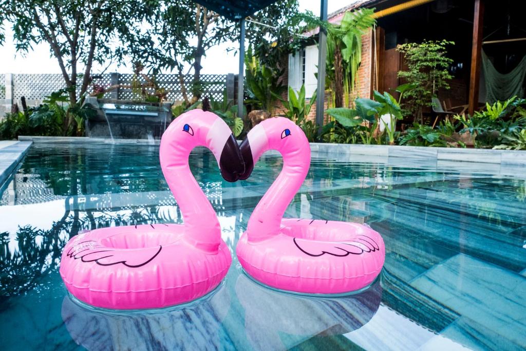 Deux flamants roses dans une piscine dans l'établissement Eco House Villa, à Phan Thiết