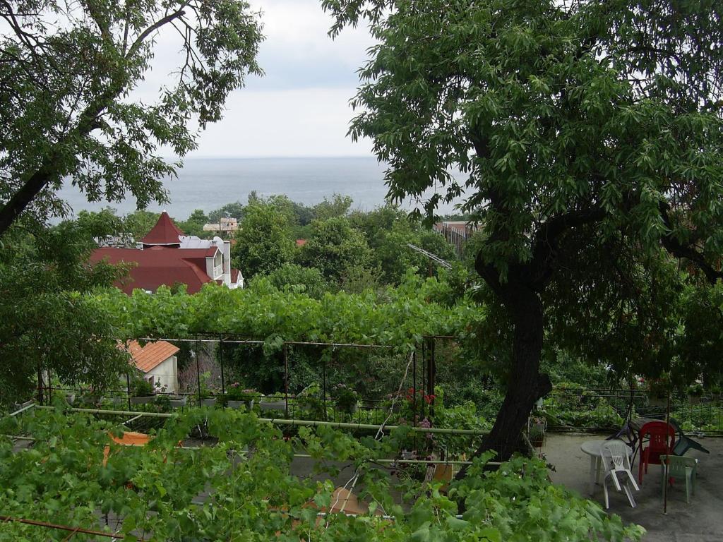 ヴァルナ・シティにあるVilla Janaの海の景色を望む庭園