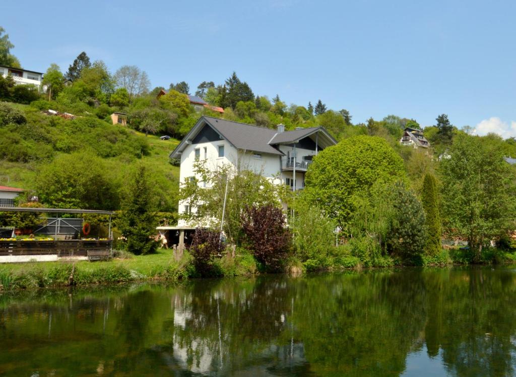 a house on a hill next to a lake at Ferienappartements Pfeil in Nieder-Werbe