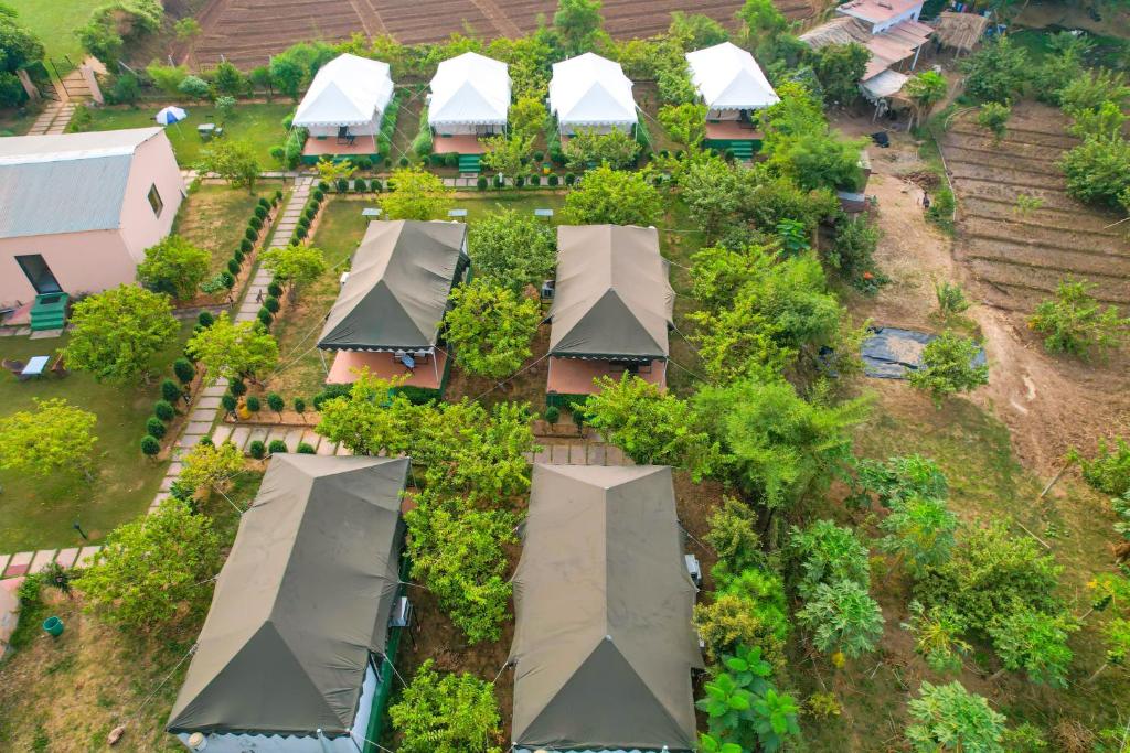 an overhead view of a row of houses with roofs at Jungle Book Ranthambore in Sawāi Mādhopur