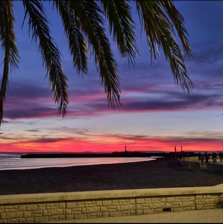 a sunset at the beach with a palm tree at 100 m de la plage - Les Cigales de Mer - Studio Cabine - Parking in Le Grau-du-Roi