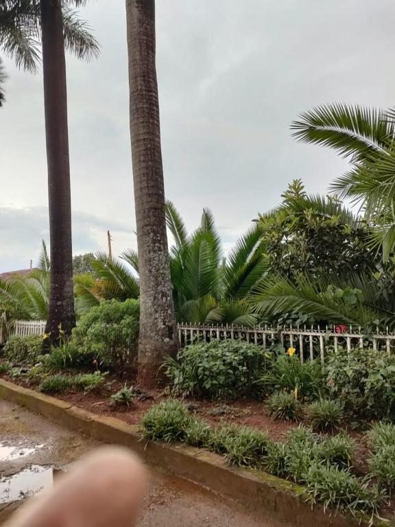 a view of a park with palm trees and a fence at Zack's Serene House in Kisii