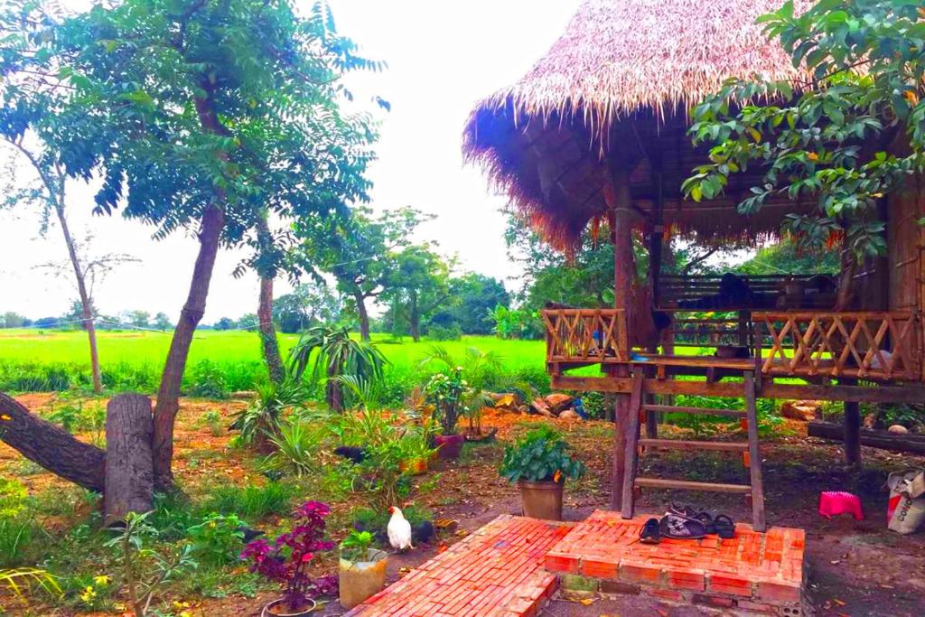 Zahrada ubytování Family Batcave Homestay