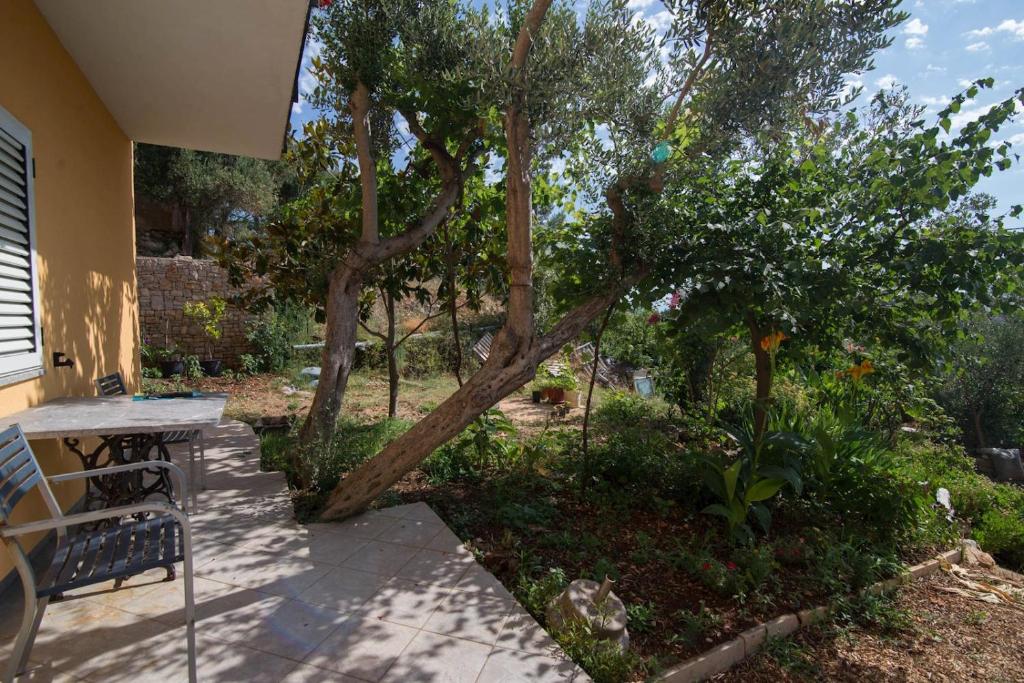 Zahrada ubytování Sandra A2+1***