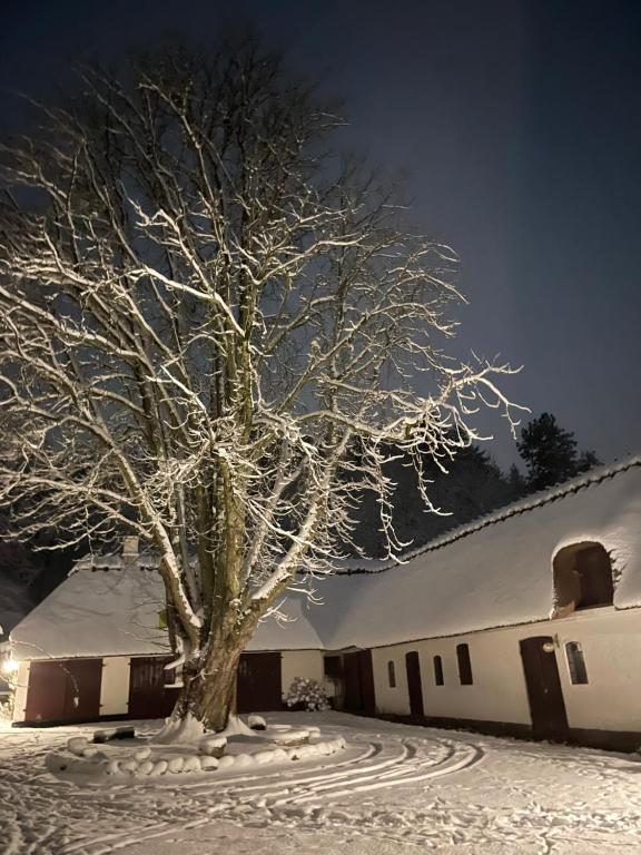 Lillemøllens bed & breakfast durante l'inverno