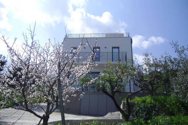 un edificio bianco con alberi di fronte di Villa Oltremare a Trabia