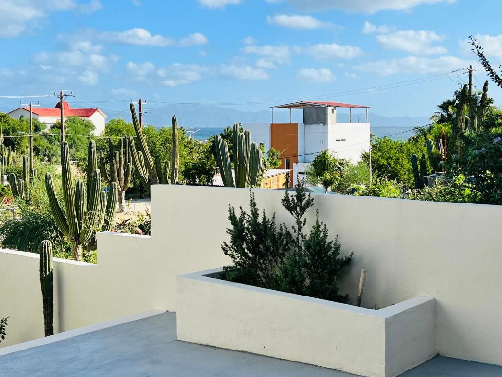 una cerca blanca con cactus en un jardín en La Ventana Apartments #6, en La Ventana