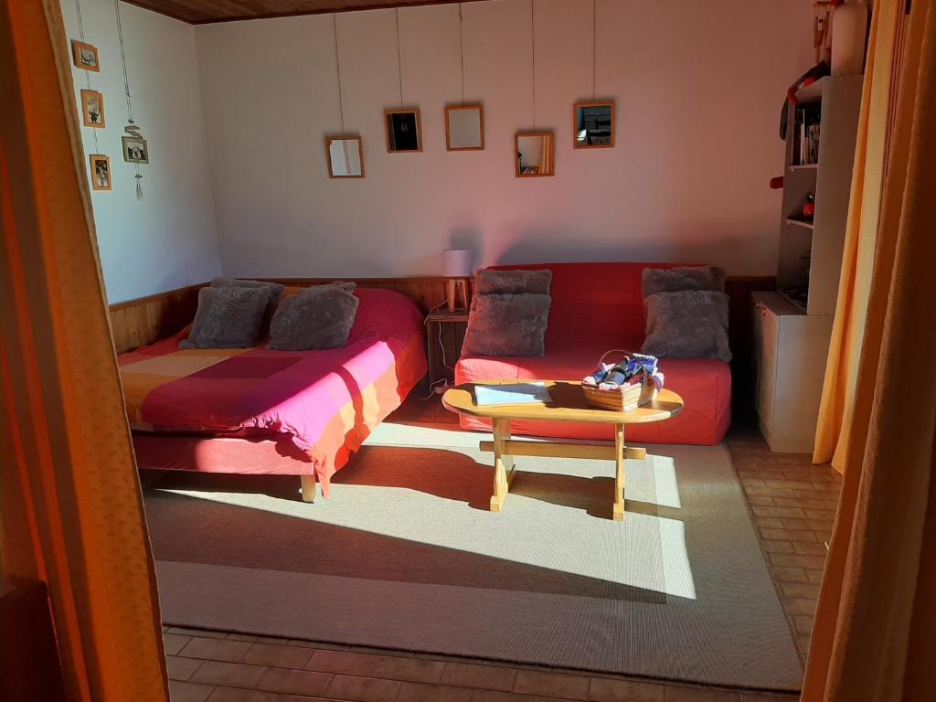 布里昂松Studio sympa avec terrasse , maxi 4 pers.Briançon的带沙发和桌子的客厅