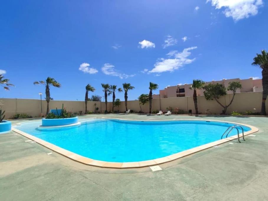 a large swimming pool in a courtyard with palm trees at El Olivar Paraíso Playa in Parque Holandes