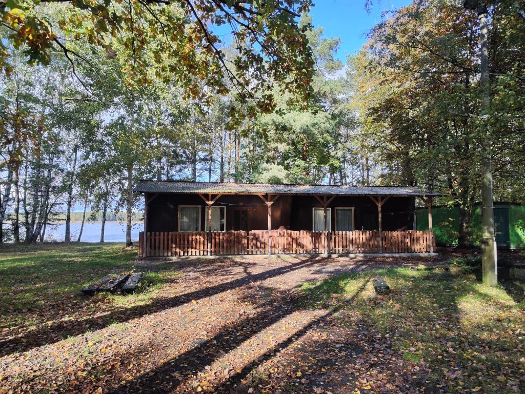 a small cabin in the woods with a tree at Kleine Freiheit Nummer 4 in Reichendorf