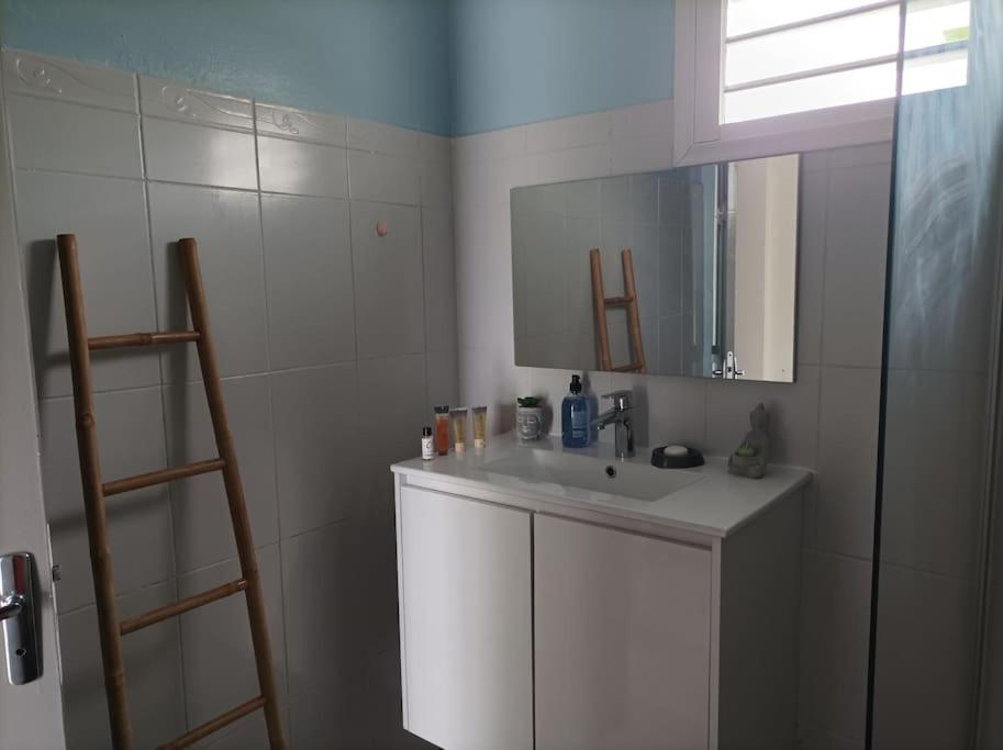 a bathroom with a white sink and a mirror at Villa Imelda à saint André la réunion in Le Patelin