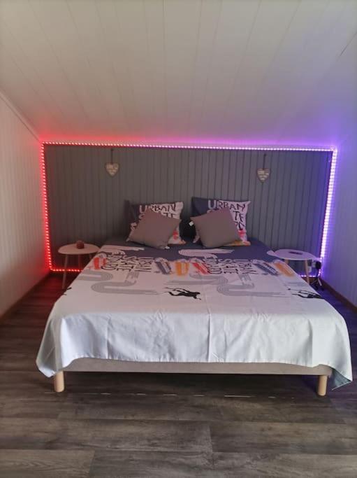 a bedroom with a bed with a pink lighting at Villa Imelda à saint André la réunion in Le Patelin