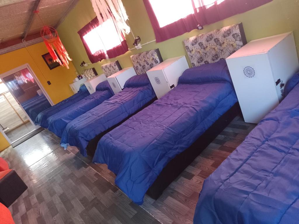 a room with blue beds in a room with windows at Sentir Indiano in Valeria del Mar