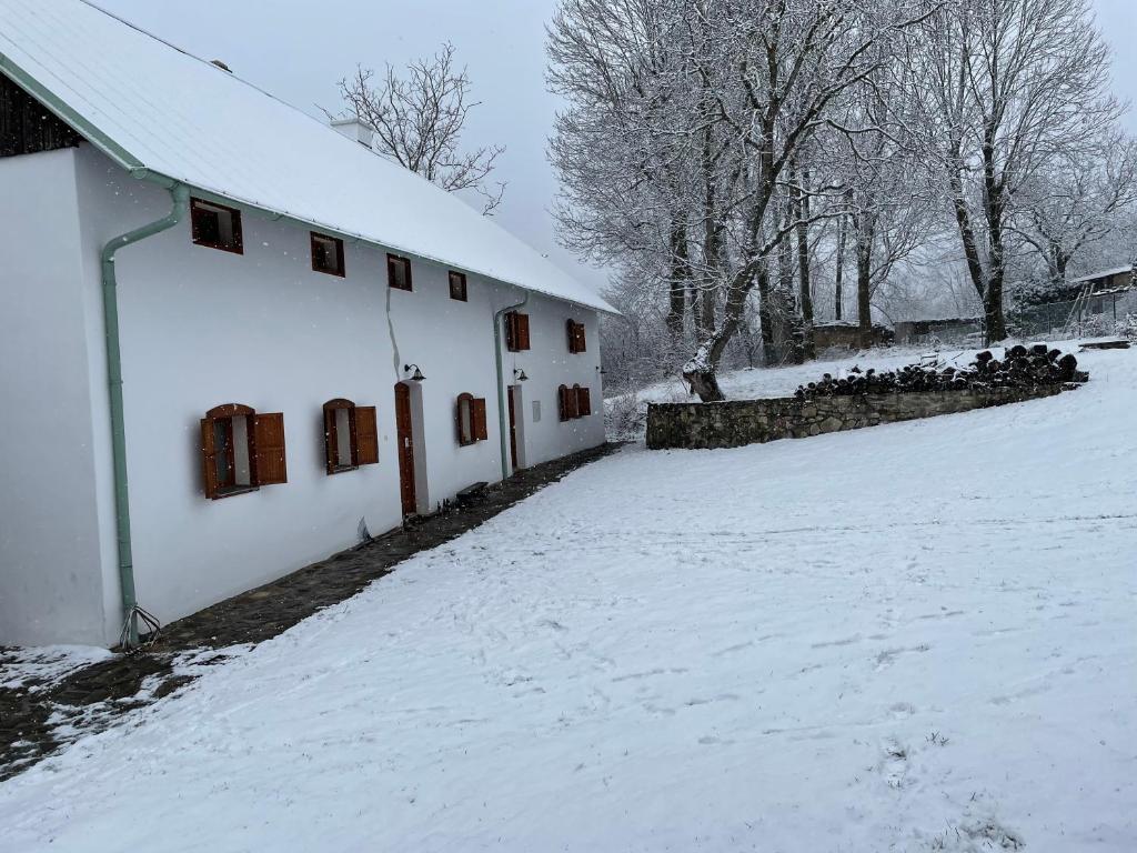 Medieval Cottage Šumava v zimě