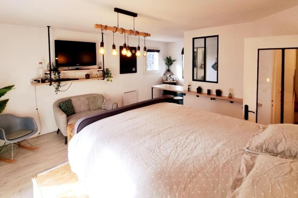 une chambre avec un grand lit et un canapé dans l'établissement Studio Cosy Atypique - Toulouse, à Toulouse