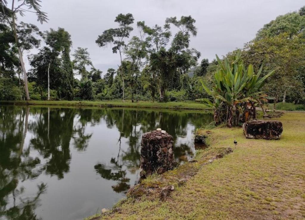 a pond in a park with trees in the background at Traillertuba Yaveh in Ubatuba