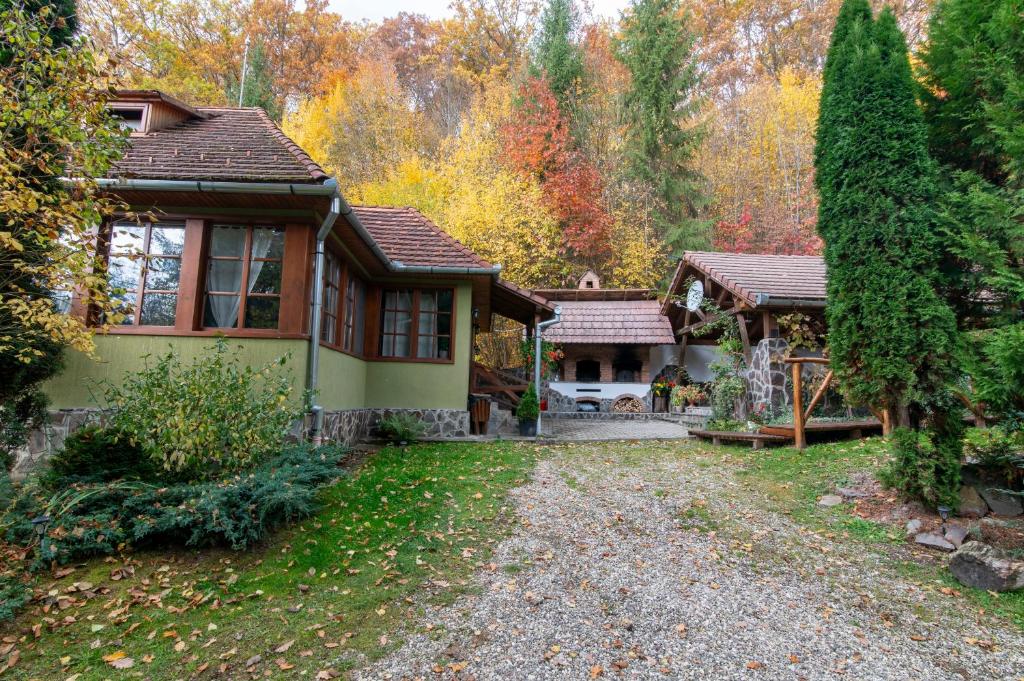 Zahrada ubytování Esigman - log cabin in Transylvania