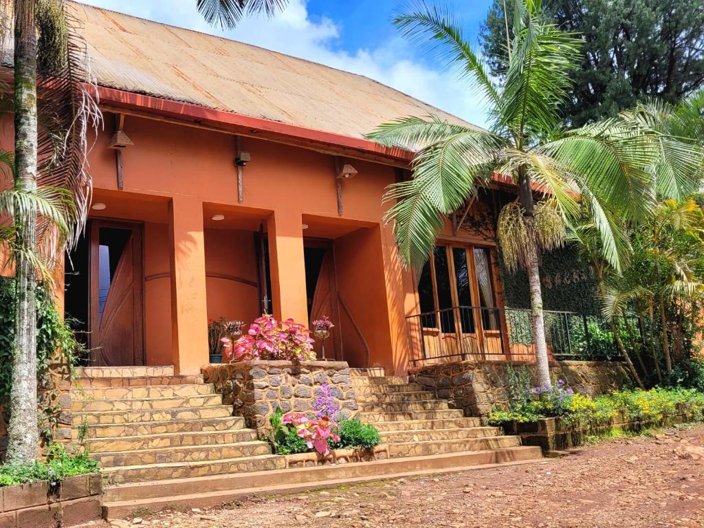 a house with a palm tree in front of it at Babylon Lodge in Marangu