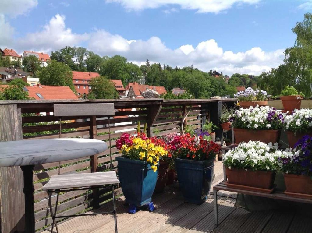 a bunch of flowers in pots on a deck at Ferienwohnung Engelsherberge in Erfurt