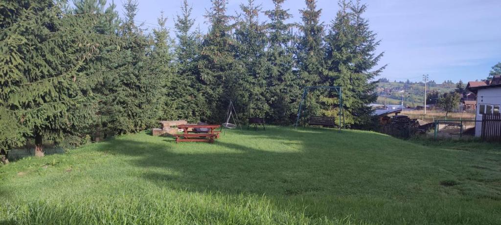 a large grassy yard with a picnic table in it at Tatrzański Camper Park- parcele kamperowe in Bukowina Tatrzańska